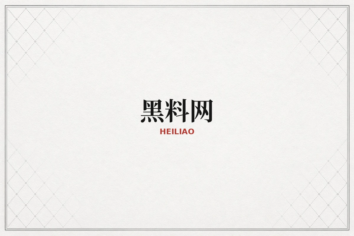 黑料网品牌视觉示意图